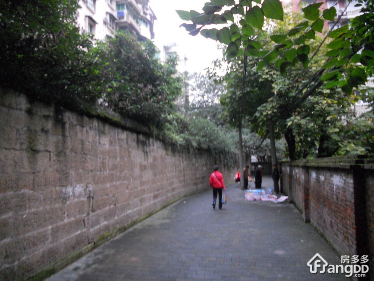 晒光坪小区图片