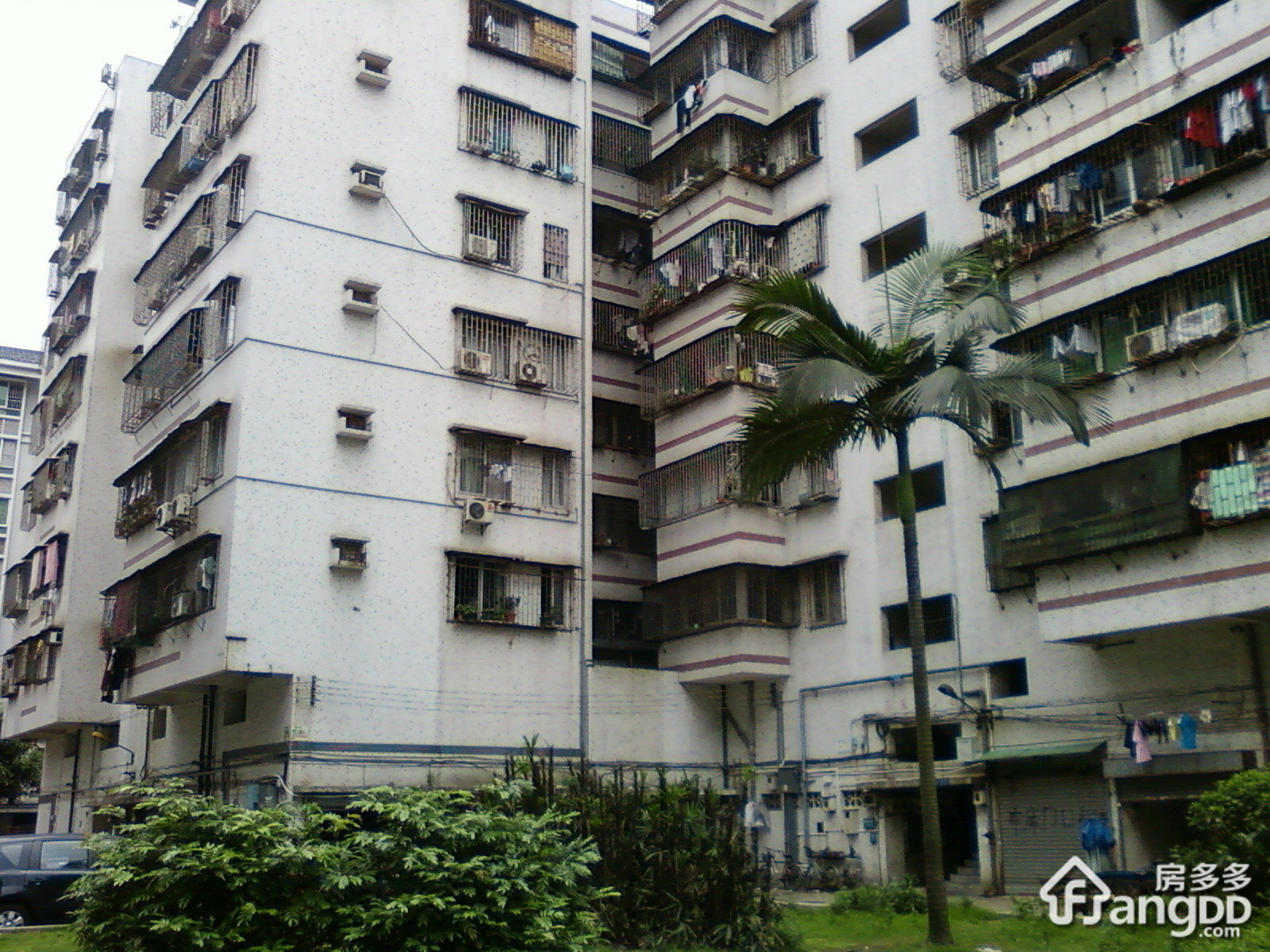 东城新村小区图片
