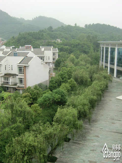 千和公寓小区图片