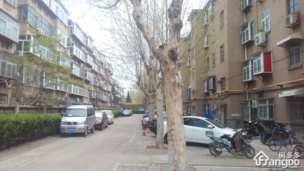 工业北路236小区图片