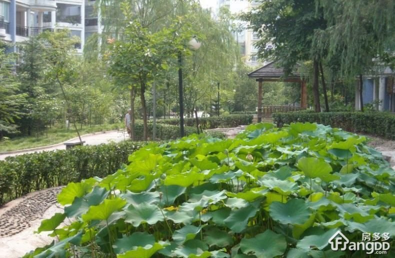 北碚龙凤花园小区图片