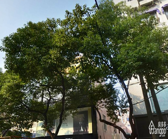 集街小区小区图片