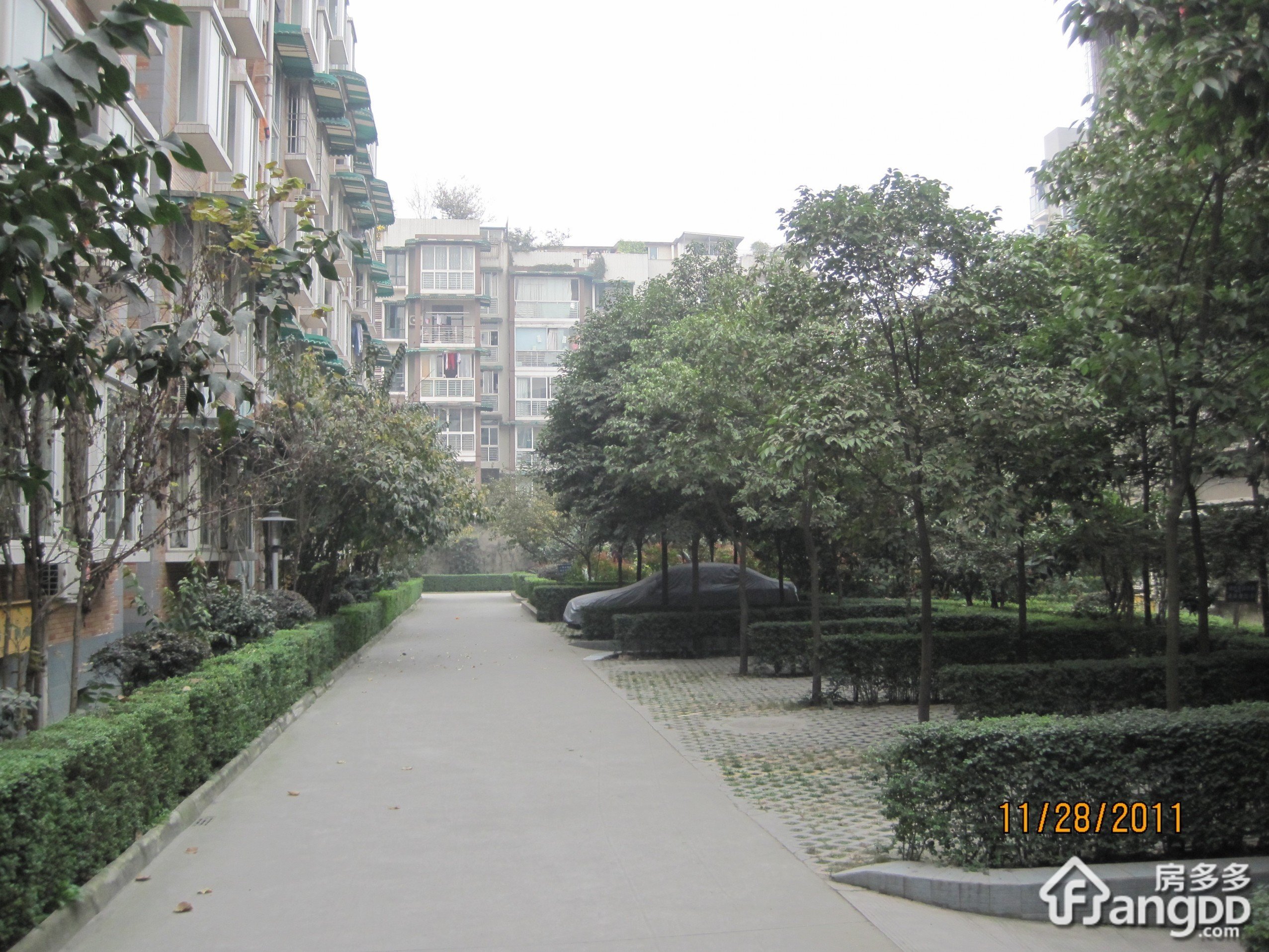 天伦家园小区图片
