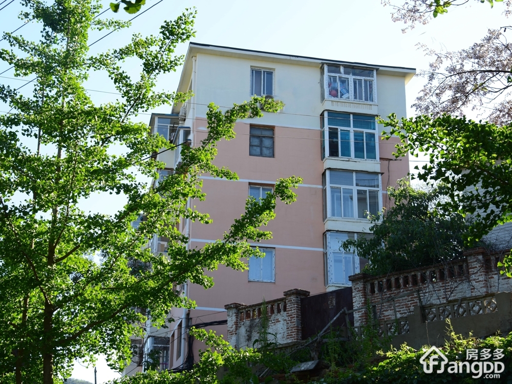 新石道街小区图片