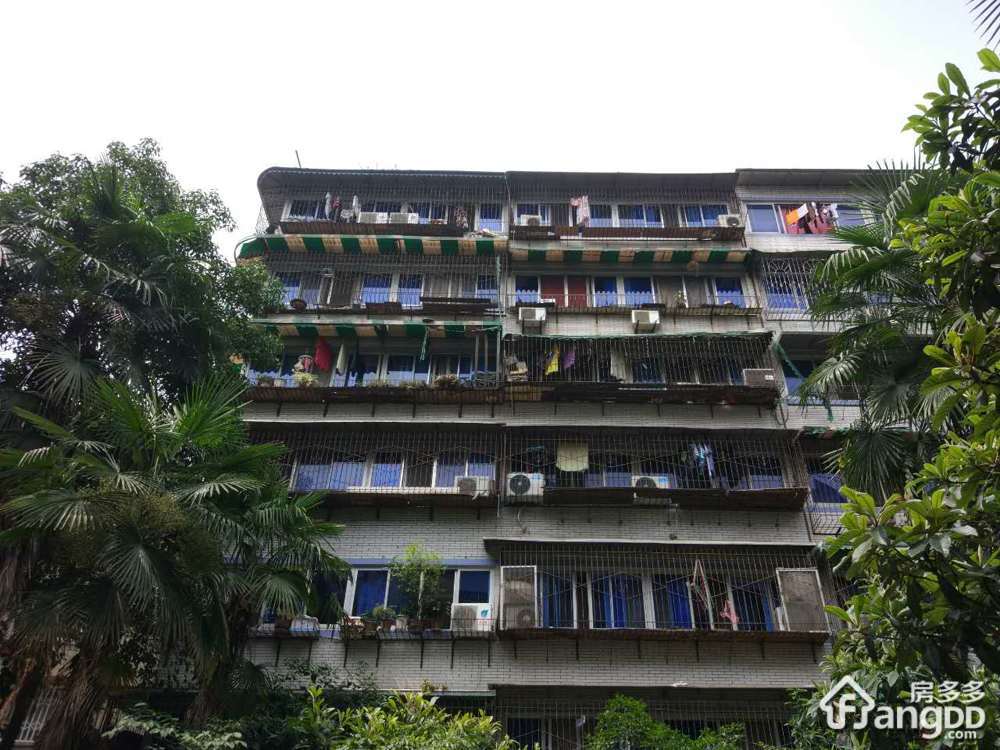 华油路95号新37号小区图片