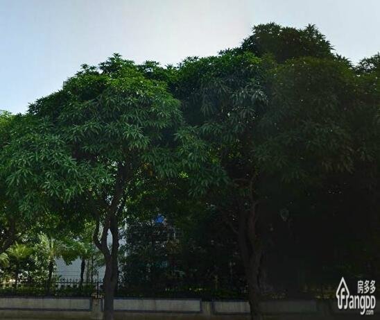 水岸华都小区图片