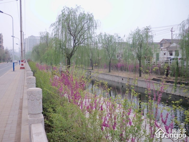 凤凰山庄天桥小区图片