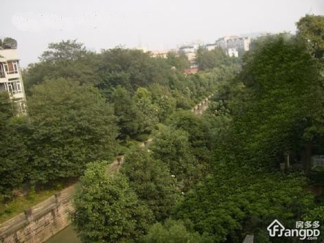 柏仕晶舍小区图片