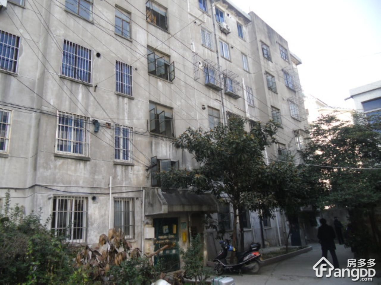 通归桥弄(散盘)小区图片