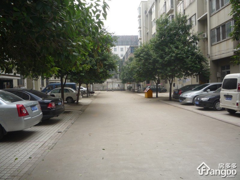 金桥美丽苑小区图片