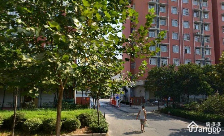 东方明珠图片