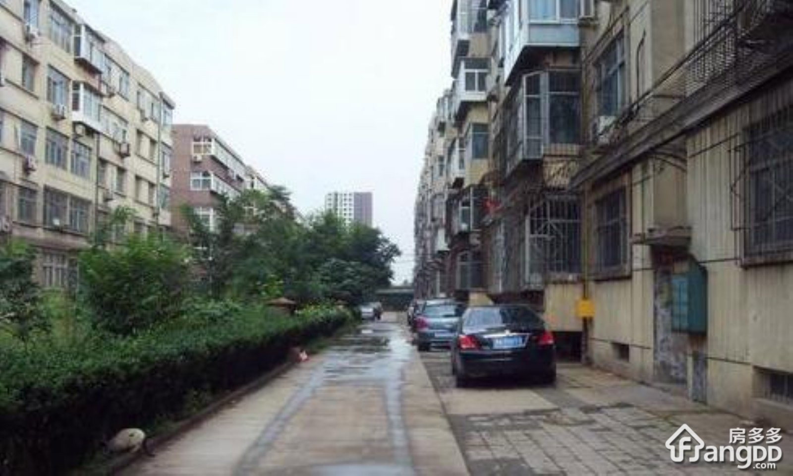 外贸宿舍小区图片