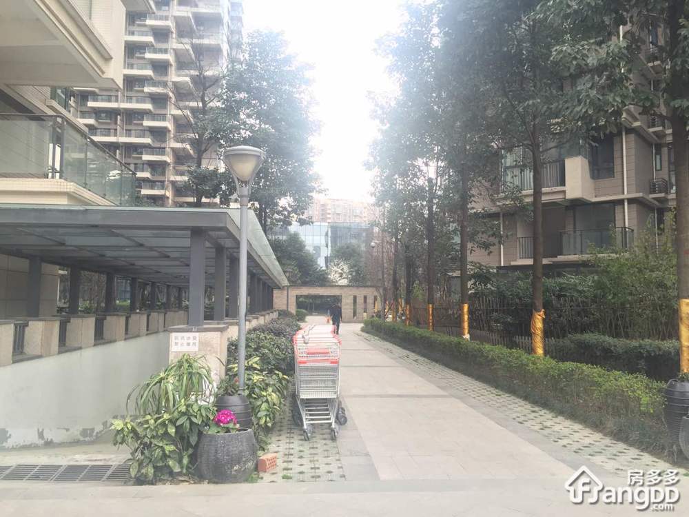 城市春天小区图片