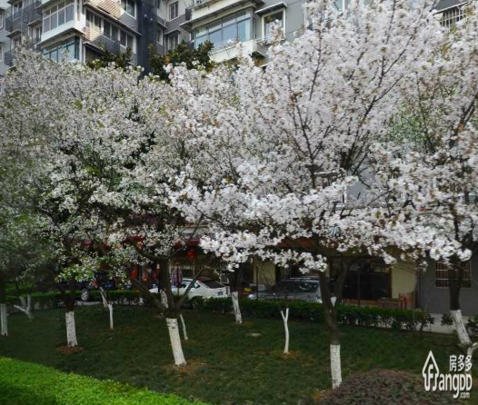 省少儿出版社宿舍小区图片