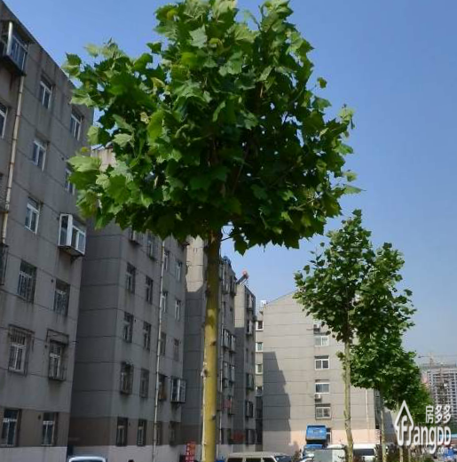 正圆小区小区图片