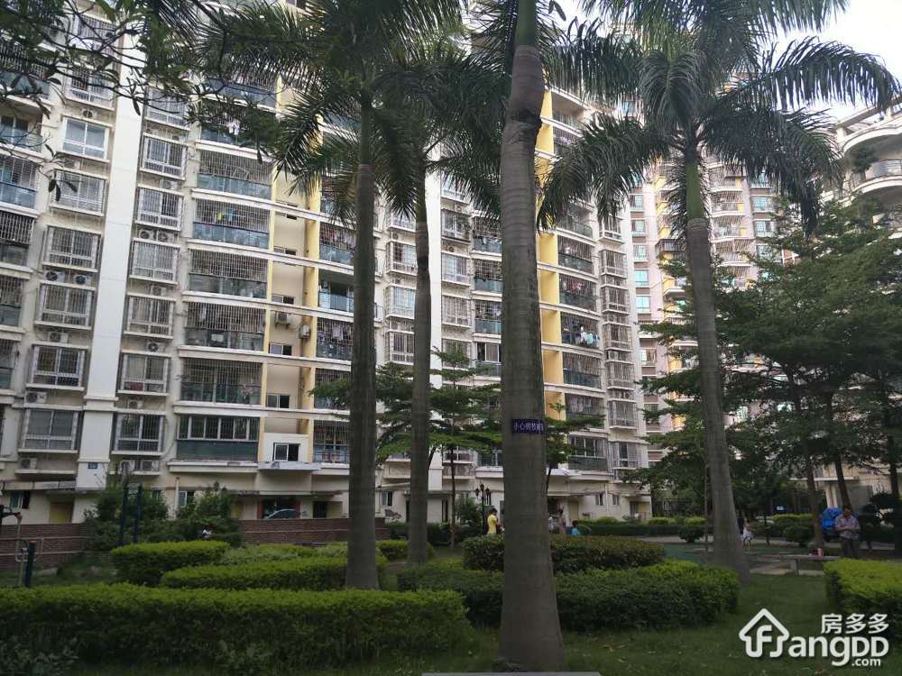 星园美第小区图片