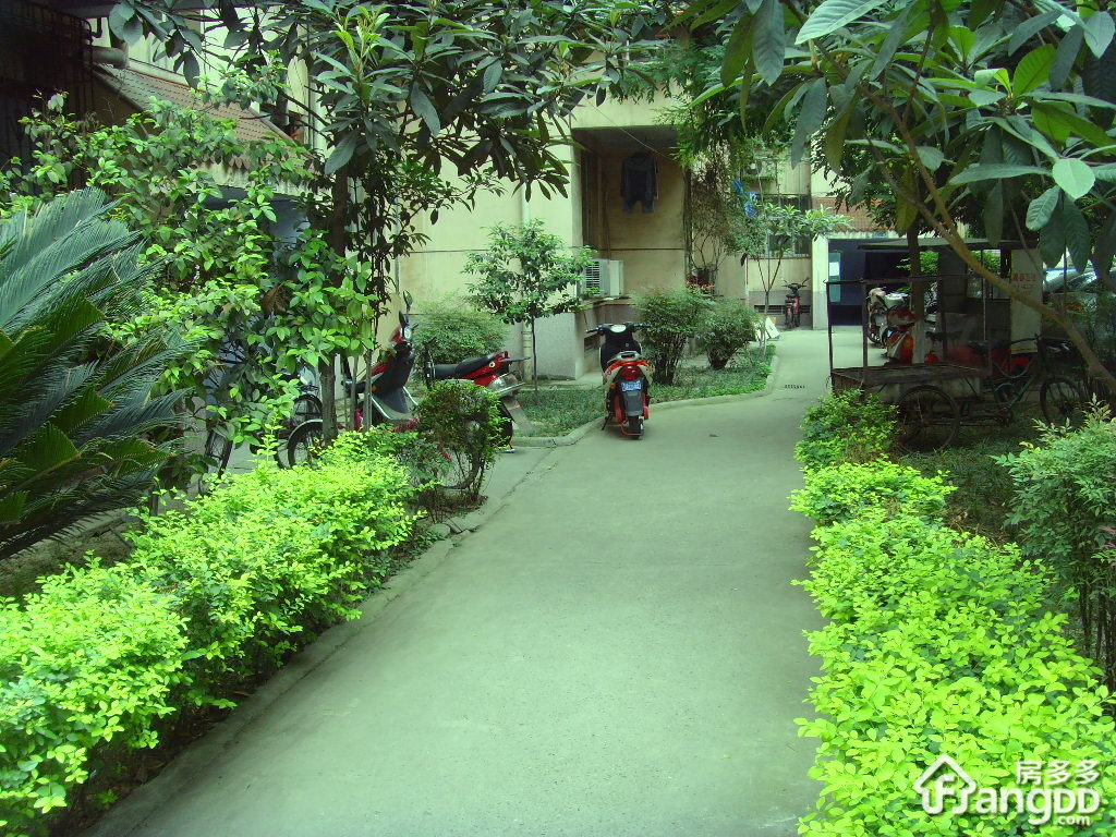 芳草东街91号小区图片
