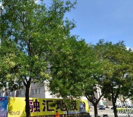 品乐坊小区图片