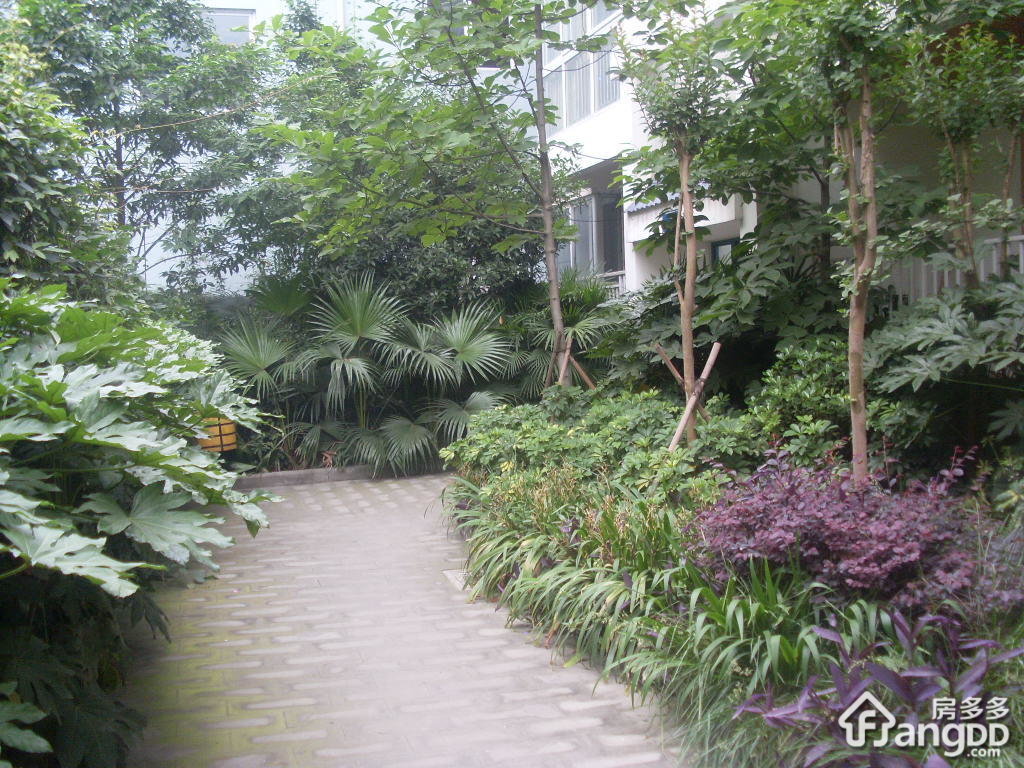 武城大观城市花园二期小区图片