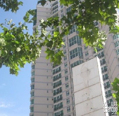 中孚紫东苑小区图片