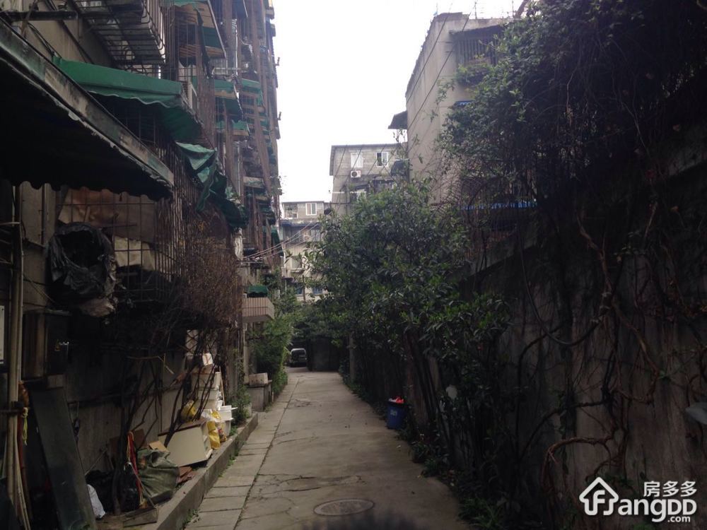 金罗路3号小区图片
