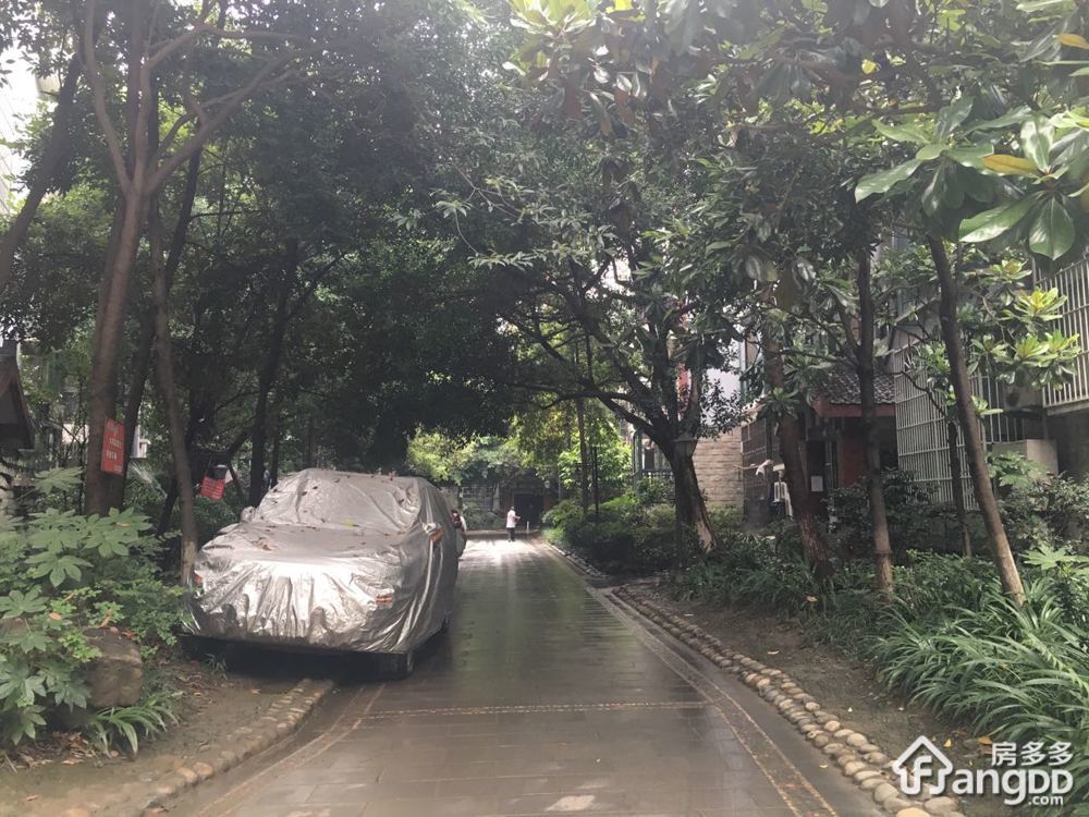 城南春天小区图片