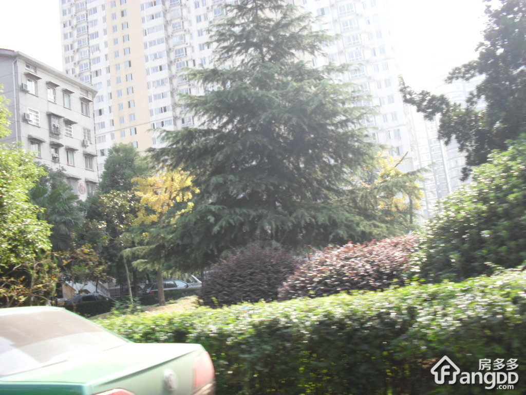骆家坝小区小区图片