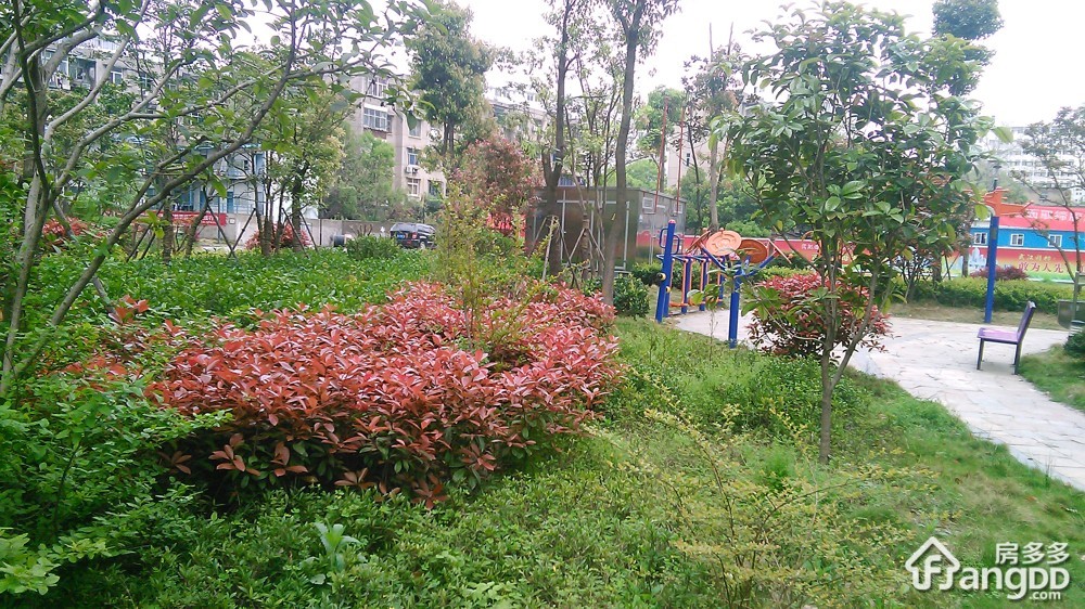 凯乐桂园小区图片