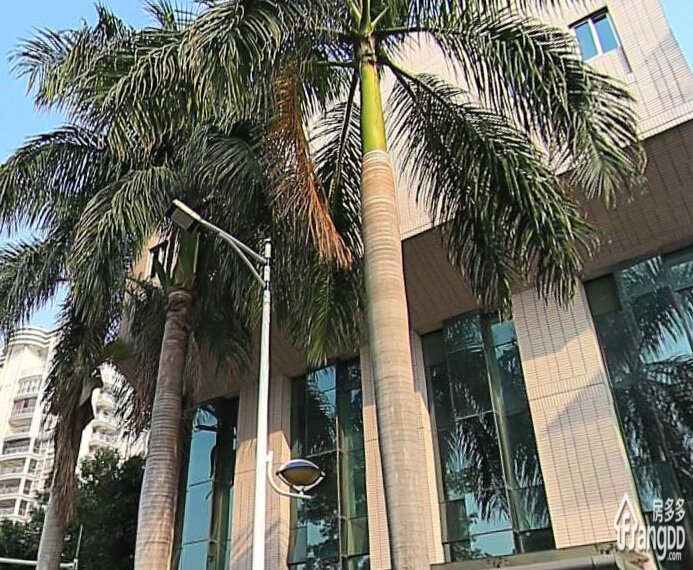 检察院宿舍小区图片