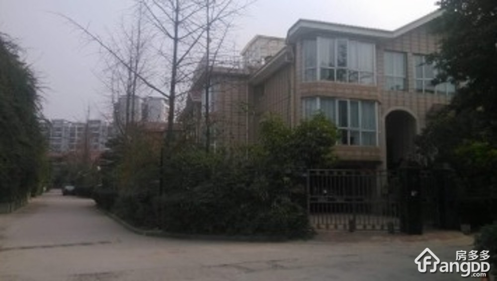 中央花园新城市别墅小区图片