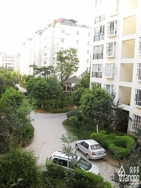 金庭小区小区图片