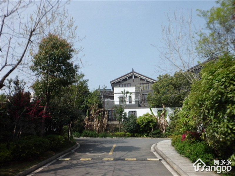 宝安中国院子图片