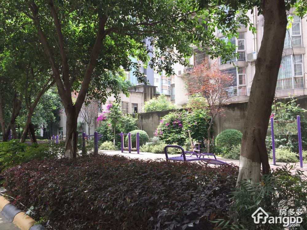 蓝岸丽景小区图片