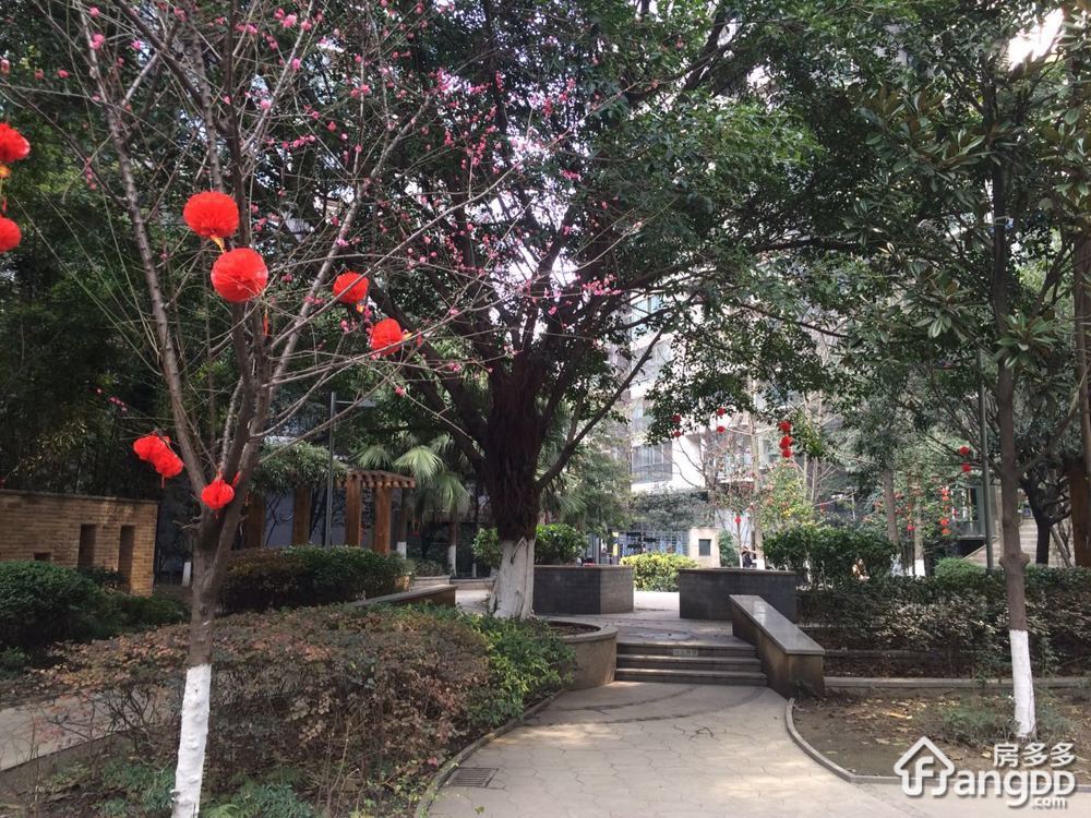 听城小区图片