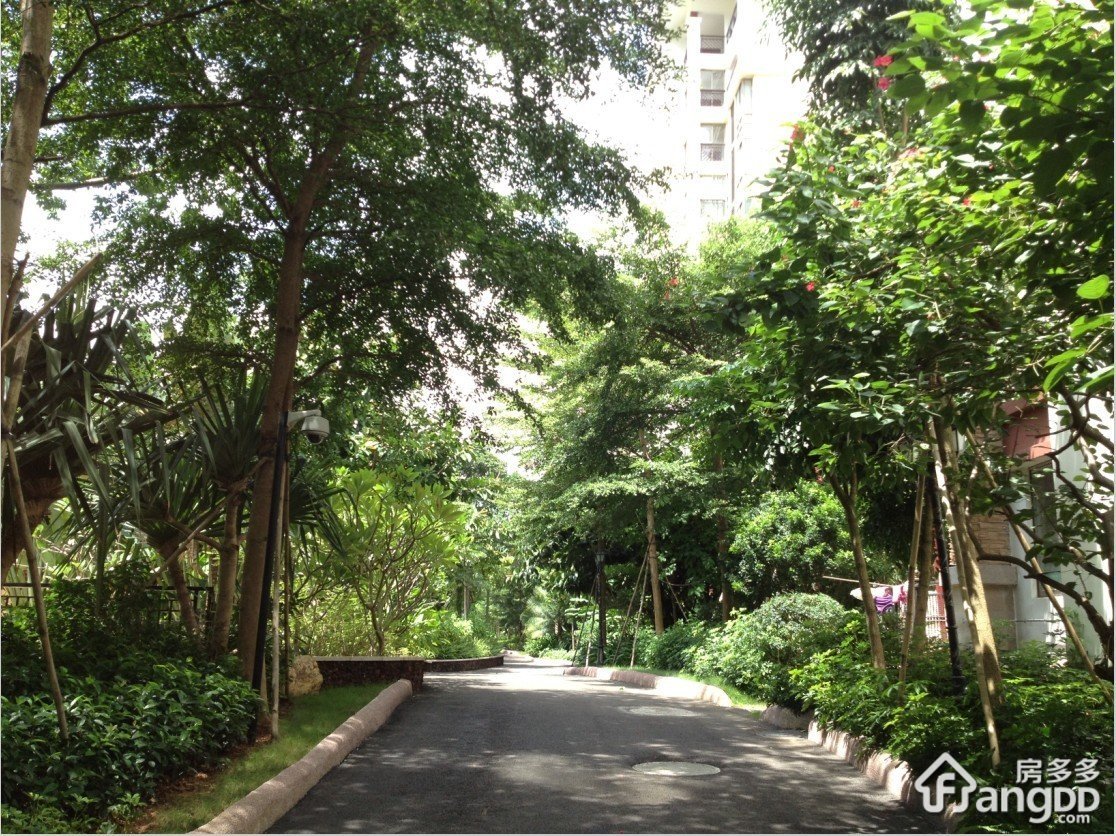 紫园C区小区图片