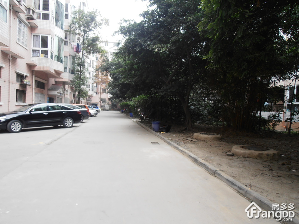 西藏花园小区图片