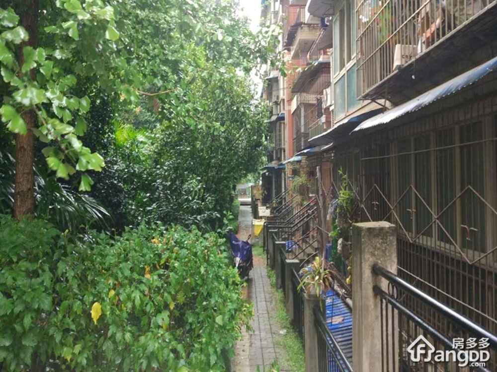 红锦大道554号_重庆红锦大道554号二手房房价-重庆房多多