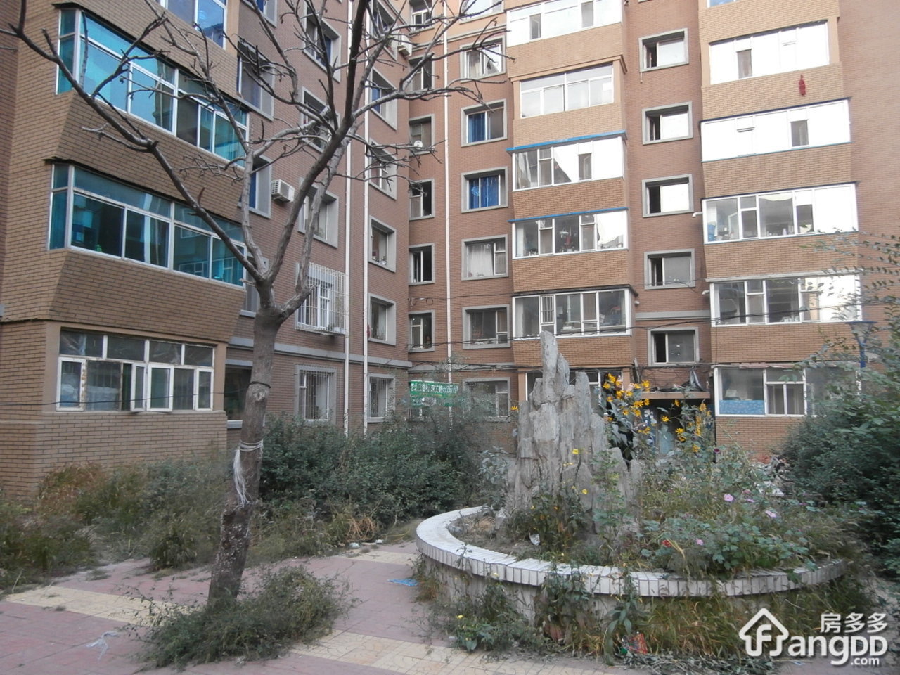 长新小区小区图片