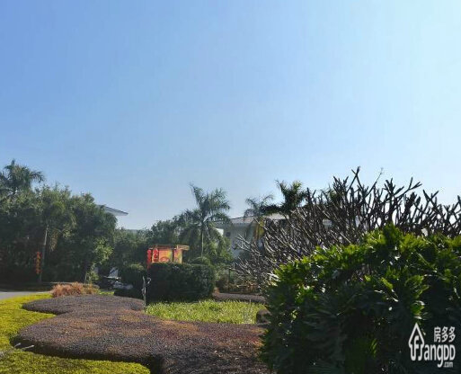 碧桂园假日半岛翠岭云天(别墅)小区图片