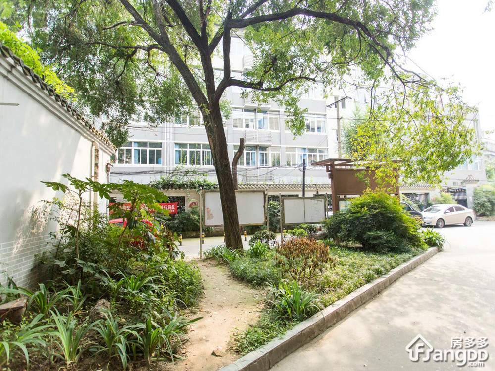 莲花新区南一巷3号3号小区图片