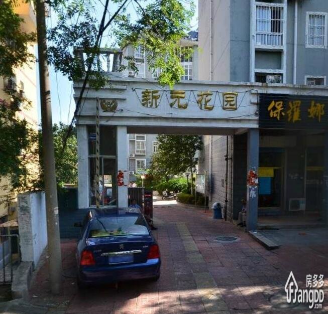 新元花园图片
