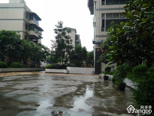 丁香苑小区图片