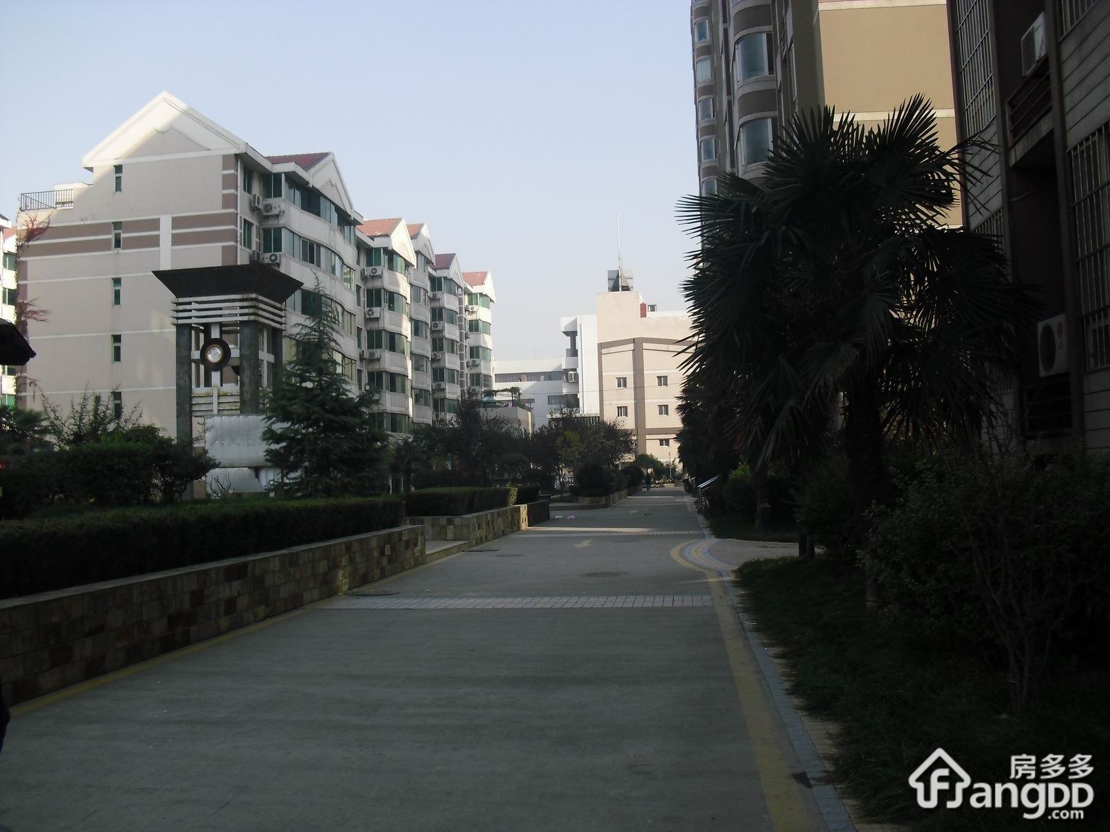 金桥花园小区图片