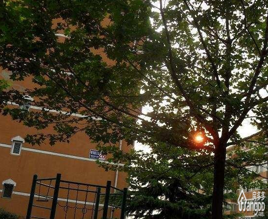 樱花园二区小区图片