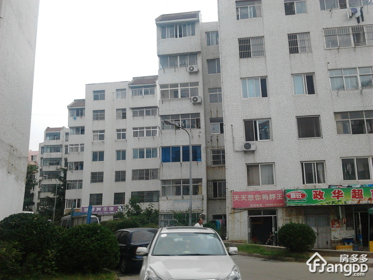 紫金山小区小区图片
