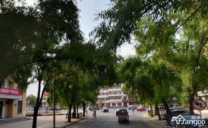 牡丹园小区小区图片