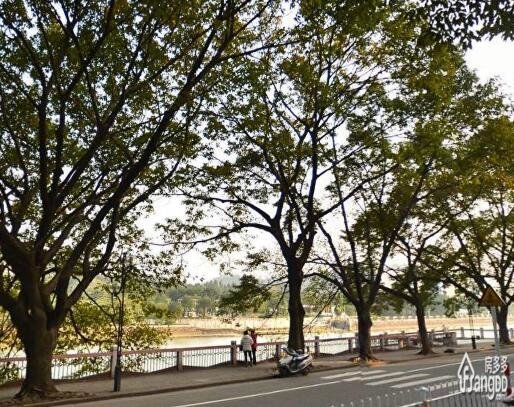 东堤湾花园小区图片