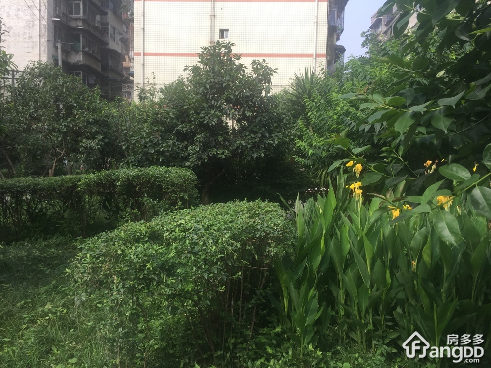 交大广厦小区小区图片