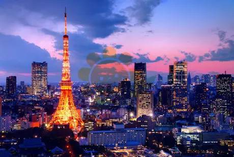 日本第二高也是东京最重要地标之一的东京铁塔就位于此区内.
