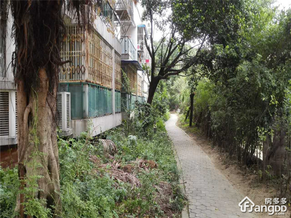 红牌楼北街29号小区图片